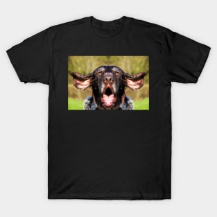 Singing German Wirehaired Pointer T-Shirt